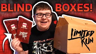 I Bought Limited Run Nintendo Switch Blind Boxes! (Unboxing)