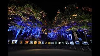 キンコン西野のオンラインサロンの仕事