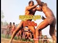 Wrestler's village; Fatehpur Beri, Delhi