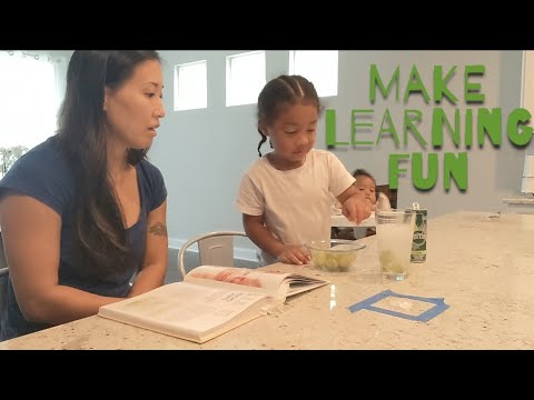 FUN STEAM ACTIVITIES AT HOME FOR TODDLERS | video #2 |