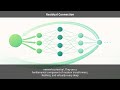 residual-connection