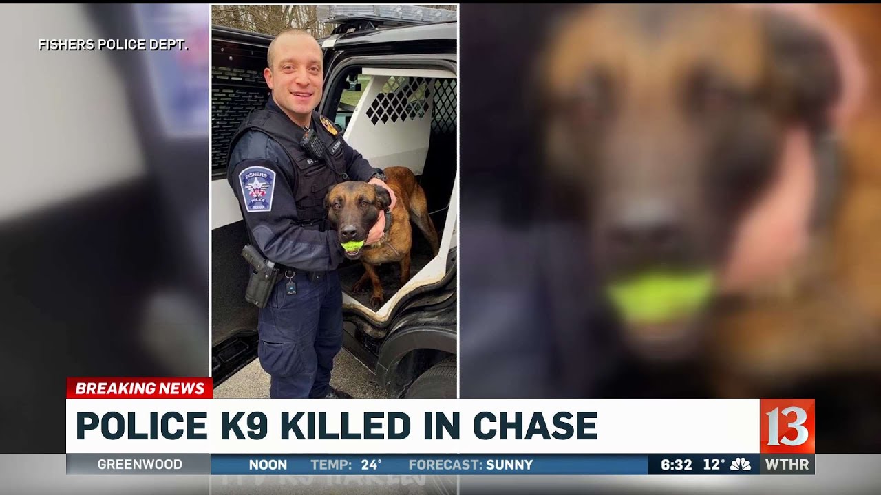 K-9 killed in police chase in Fishers - YouTube