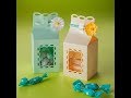 Canvas Project : Milk-carton-shaped Gift Box