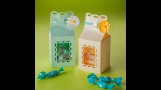 Canvas Project : Milk-carton-shaped Gift Box