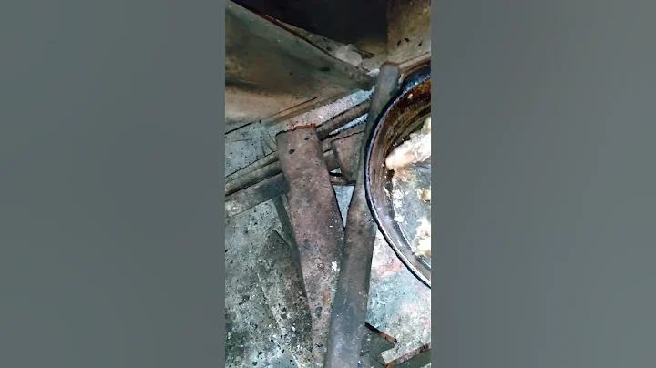 Why This Portuguese Sardine cannery Swear By It's 100-year-Old method/Regional Eats by Insider Food