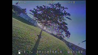 My first power loop on a tree (watch the ant at the end of the video)