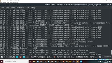 Penetration Testing With Android 5 Input Validation 2021 #9