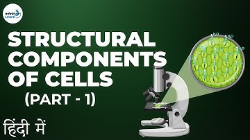 Cells - Lesson 02 | Structural components of Cells - Part 1 -  in Hindi (हिंदी में) | Infinity Learn