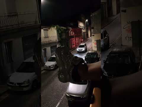 Glitter Buffalos in Porto