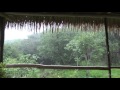 Som de chuva e trovoadas  para dormir e relaxar  sons relaxantes da natureza