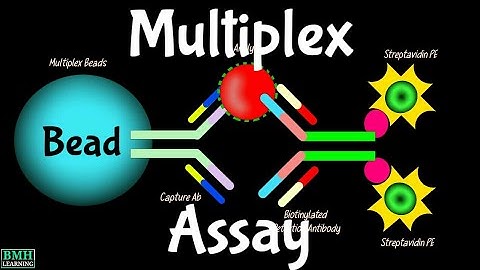 Multiplex Assay | Multiplex Immunoassay Technology |