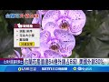 台灣經濟狀況