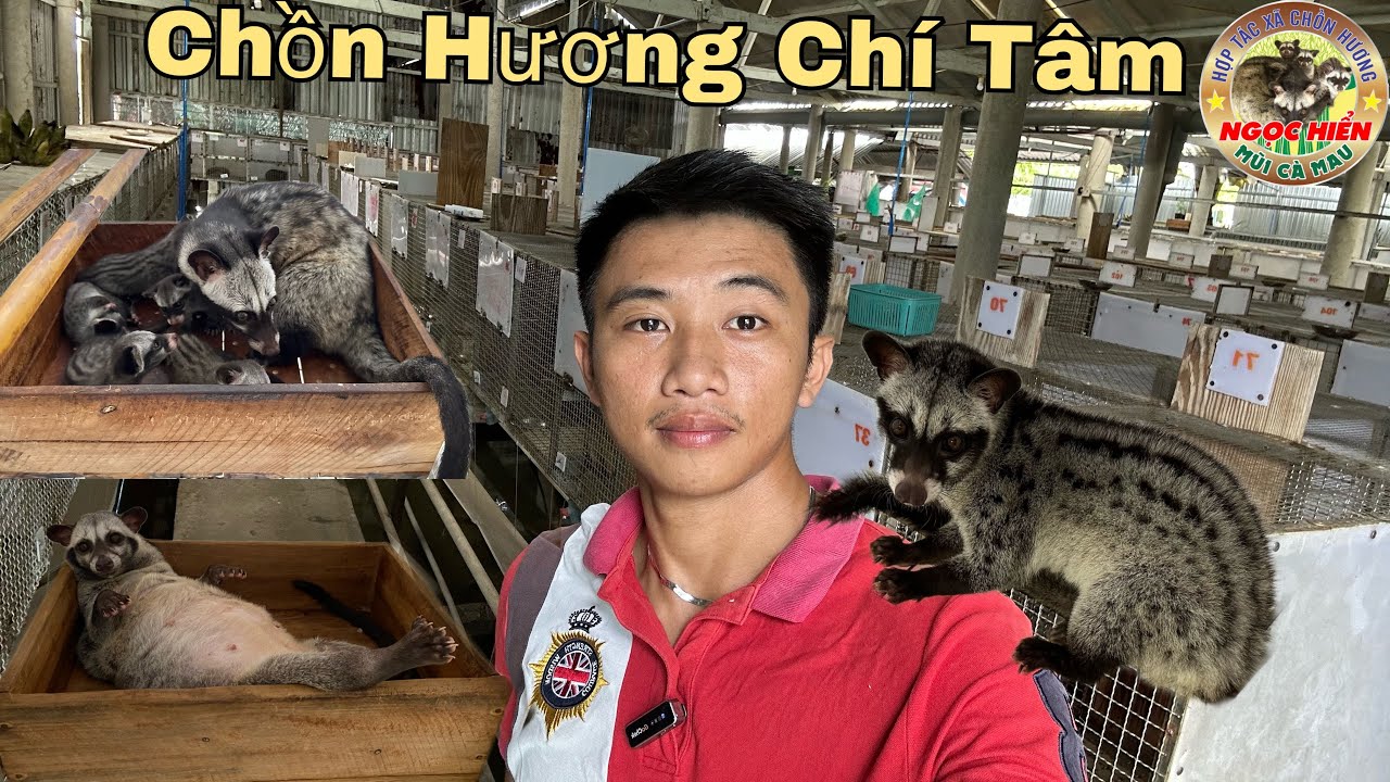 Tổng quan 6 khu.  Chia  sẽ  kinh nghiệm về Chồn Hương , khi lên giống ,  chuồng trại nuôi ,...