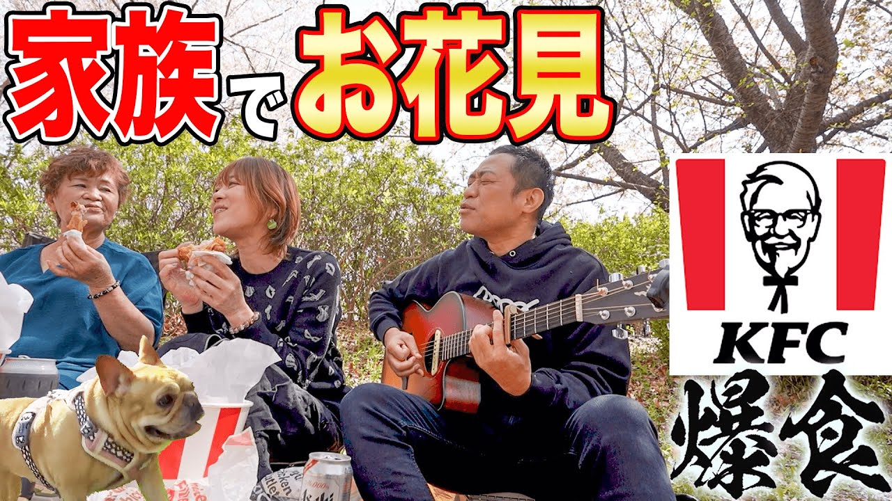 Heartwarming video] Cherry blossom viewing with the family