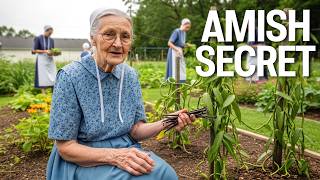 Celebrity Grow Real Vanilla Beans at Home (Worth $600 per Kg). Never Buy Again | The Amish Life Wealth