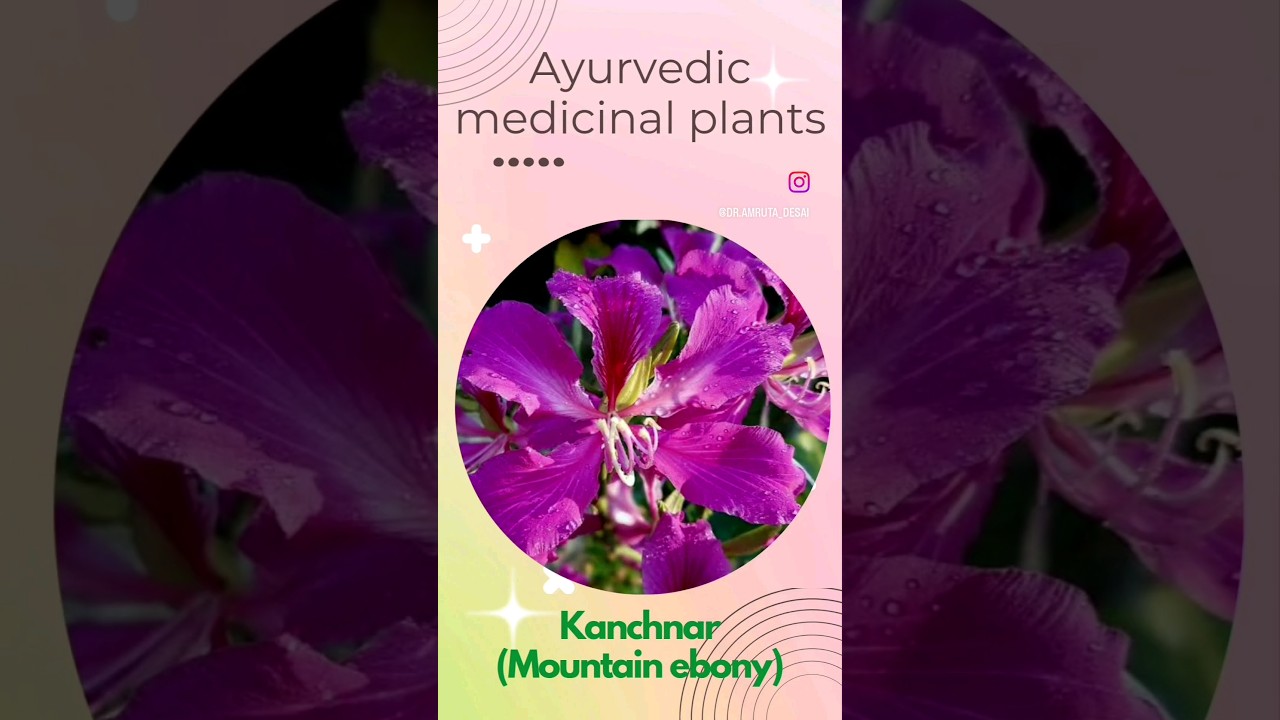 Colors of nature with Ayurveda  