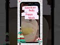 American Bully Puppies ☃️ How To Make Puppy Mush ☃️