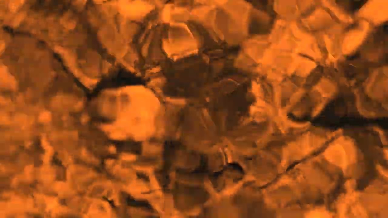 Stetson, Fox & Dunn: Molemantis