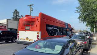 MTA NYCT/NICE Bus: Bus Action @ Hillside Ave & 258 Street [ Q43, X68, n22, n22x & n26 ]