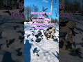 Шикарный трек 2026 R S Productions Голуби Целуются На Крыше 