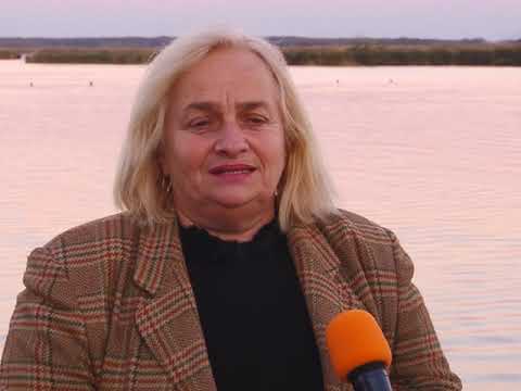 ფოთის სამი ყველაზე აქტიური ეკო-კლუბი დამეგობრდა 8 11 18