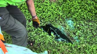 Applegate Drive Clean-Up (Restore Rundberg)