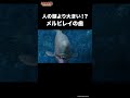 人の頭より大きい!?リヴァイアサン・メルビレイの歯 #最強 #対決 #雑学