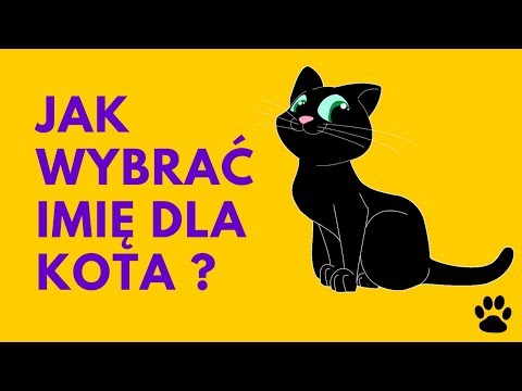 Wideo: Jak Nazwać Brytyjskiego Kota?