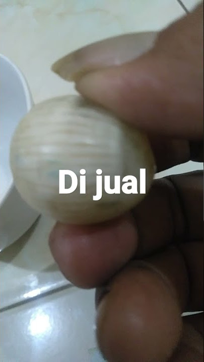 Di jual batu mustika kelapa asli. tlpn 0821 4306 6390
