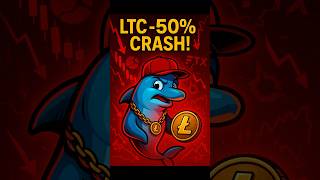 [ Litecoin Through Time ] - Litecoin 2022: The Brutal 50% Crash &amp; The Lessons Behind It