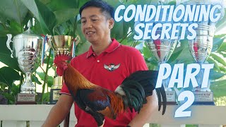 Part 2 Ang Reto Sa Pagkukundisyon Ng Manok Panabong