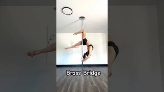 Celebrity Brass bridge? Profile