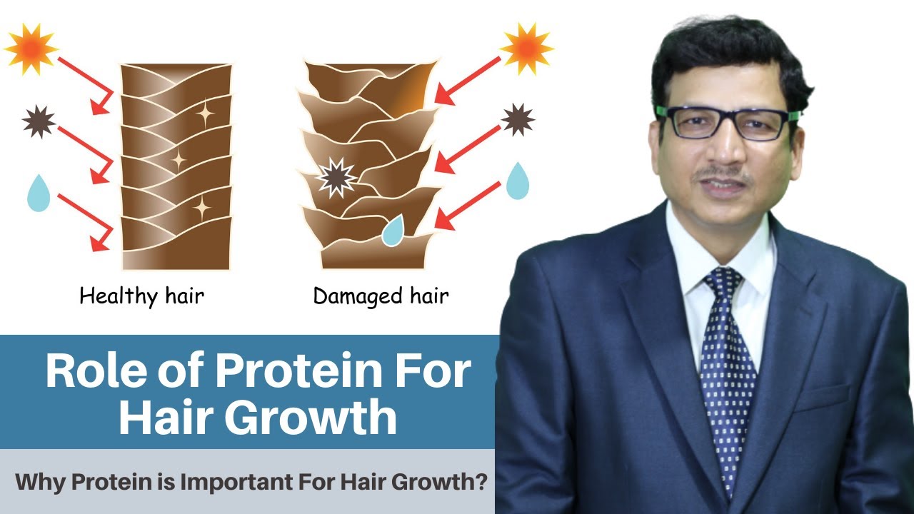 Role of Protein For Hair Growth Why Protein is Important For Hair