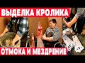 Отмачивание и мездрение шкуры  Выделка кролика. Часть 2