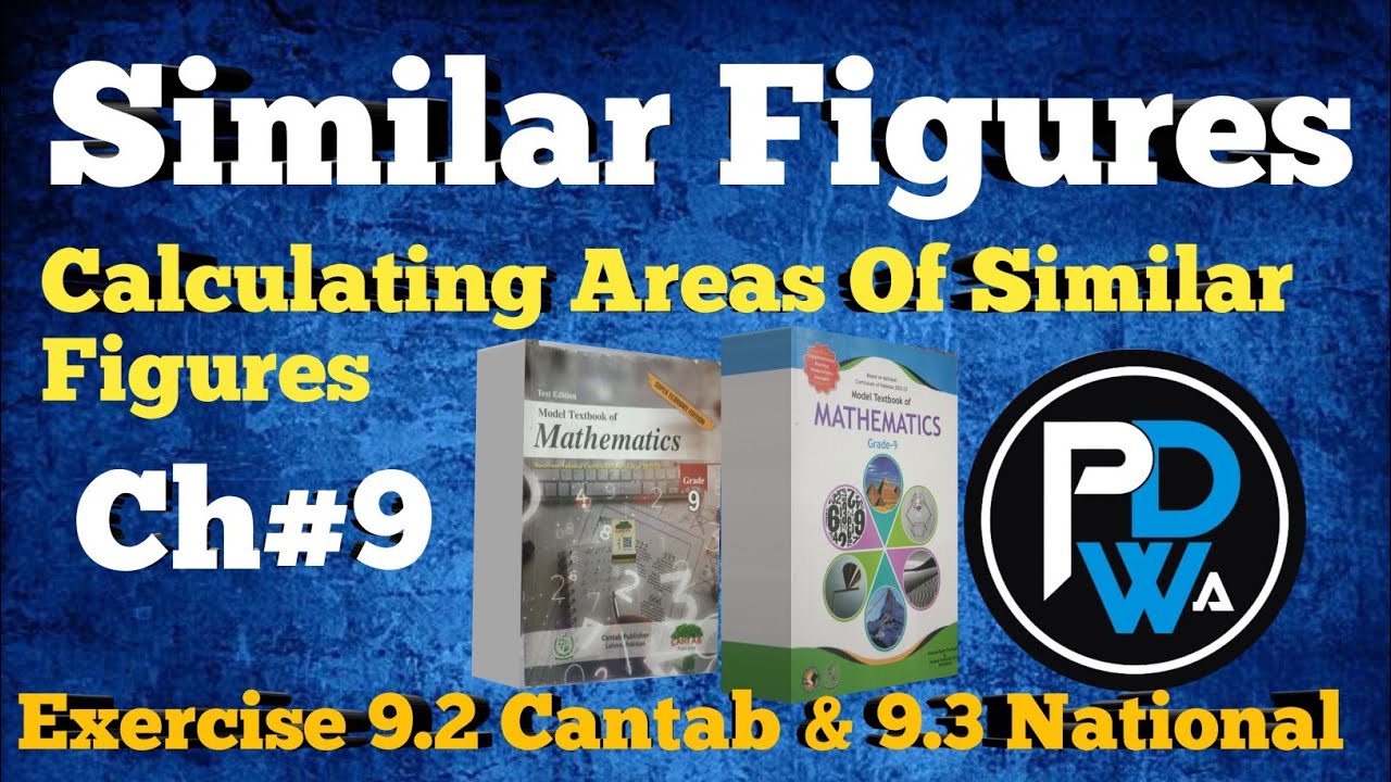 Understanding Similar Figures: Class 9 Maths | Cantab & National Book ...