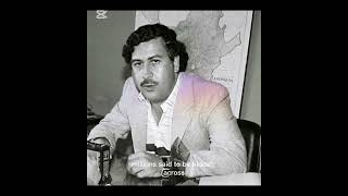 Farmer Finds $600 Million of Escobar’s Fortune – What Would You Do? Would You Keep It? $600 Million
