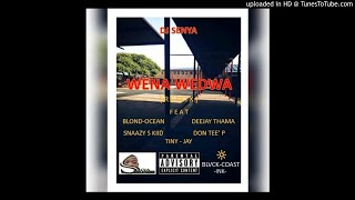 Wena Wedwa (Remix) Dj Senya & Blond Ocean ft Deejay Thama , Don Tee' P & Tiny - Jay