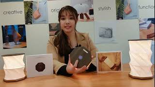 Gingko Twist Hexagon Light Instruction