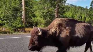 20150927_092220.mp4