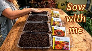 Resowing onions,  sunflowers, snapdragons and zinnias | Southern Latitudes