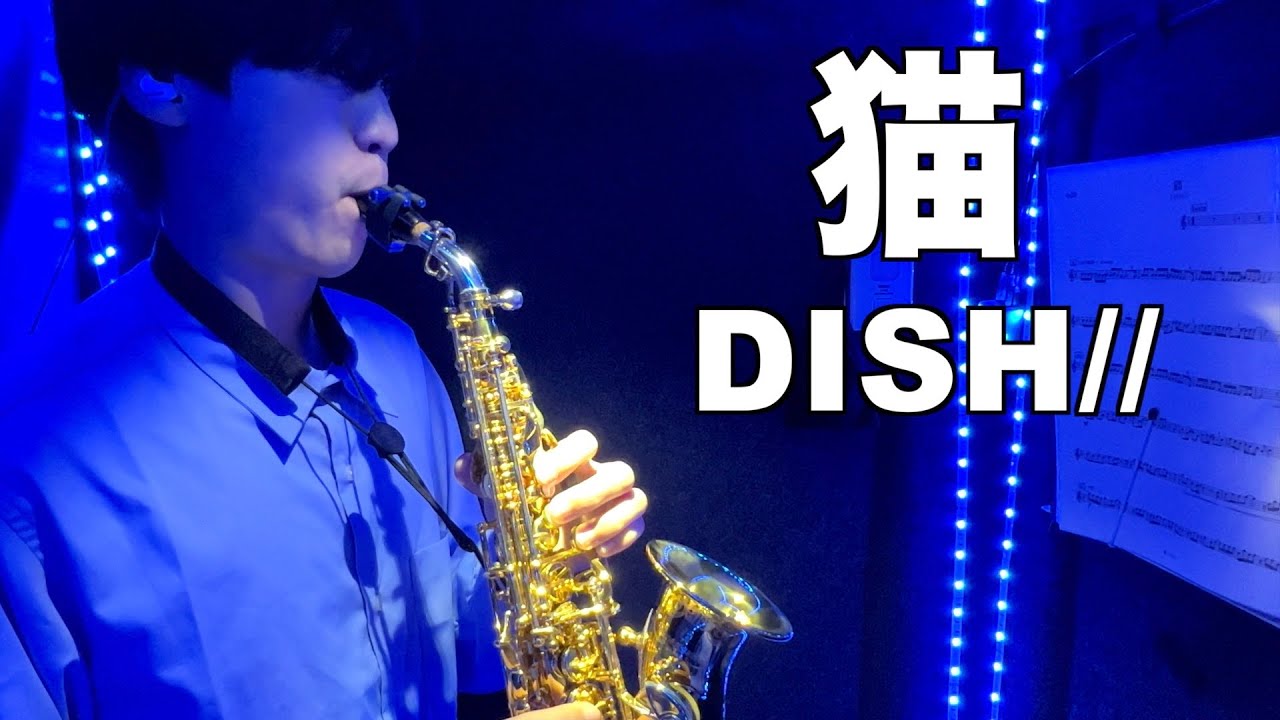 カーブドソプラノ🎷】猫 / DISH// - Soprano Saxophone -【ユート放送