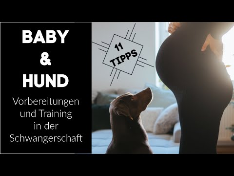 Video: Schwangerschaft, Babys und der Familienhund