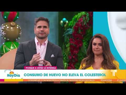 Hablemos de Huevos con Adriana Martin - Telemundo