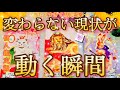 [♥️💛当たるタロット]🌟現状打破🌈個人鑑定級💫超細密リーディング💖高次元メッセージ🥰💕ビーナスハート♥️