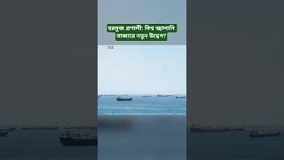Hormuz Strait and the Energy Crisis: A New Concern for the Global Economy? | Hormuz Strait News