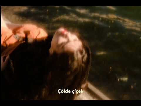 Teoman-Çölde Çiçek/ 8d & Lyrics
