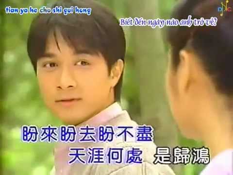 Lời Bài Hát Mưa Bụi Giăng Mắc (情深深雨濛濛) – Triệu Vy (Pinyin + Lời Dịch Chuẩn)