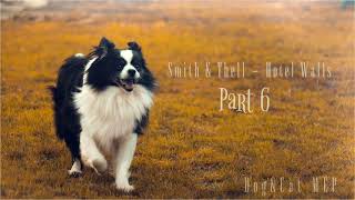 Dog&Cat MEP OPEN || Hotel Walls || [8/10]