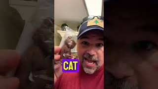 ENGLISH CONVERSATION AT A CANDY SHOPPE #ielts #toefl englishteacher #esl #eslteacher #eslteachers Information