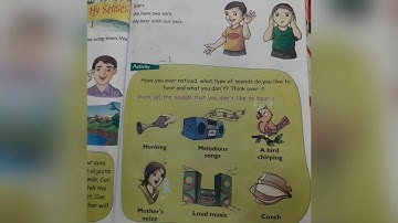 Ecps class 1 EVS chapter 3 my senses revision part 1